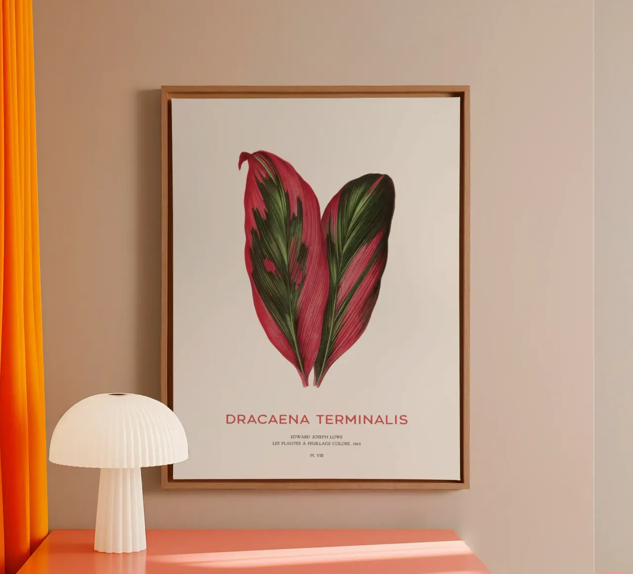 Palmlilie oder Dracaena Terminalis Leinwand mit Schattenfugenrahmen von Vintagrafica