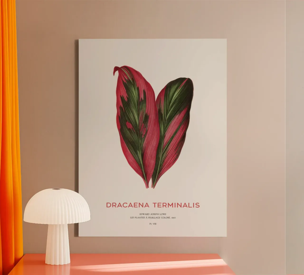 Palmlilie oder Dracaena Terminalis Leinwand mit Schattenfugenrahmen von Vintagrafica