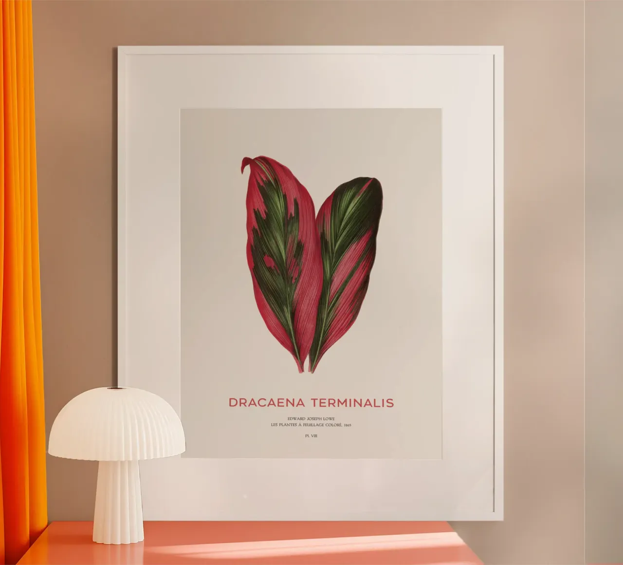 Giglio delle palme o Dracaena Terminalis poster con telaio in plastica da Vintagrafica