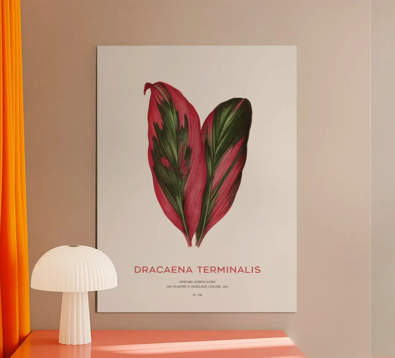 Giglio delle palme o Dracaena Terminalis poster con telaio in plastica da Vintagrafica
