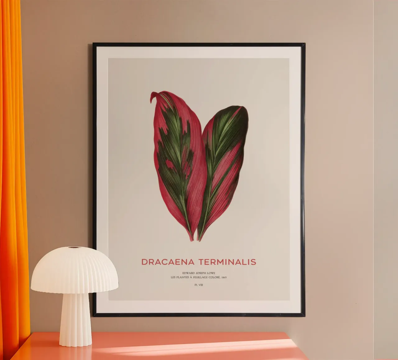 Giglio delle palme o Dracaena Terminalis poster con telaio in plastica da Vintagrafica