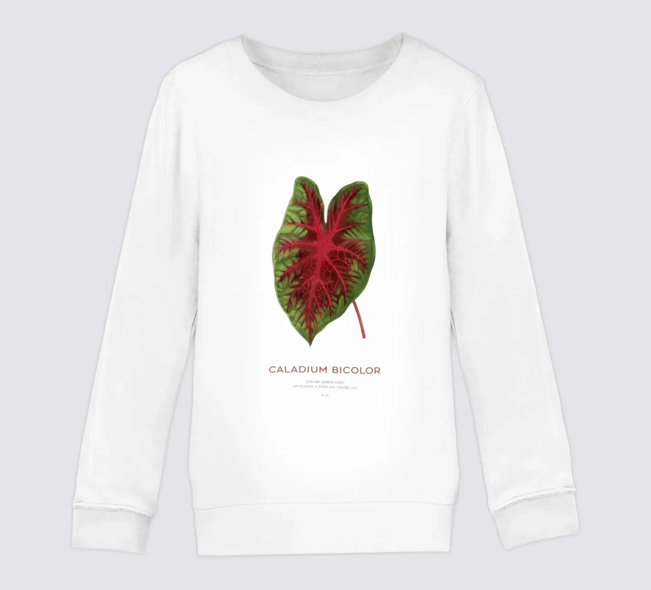 Cuore di Gesù o Caladium Bicolor felpa bambino da Vintagrafica
