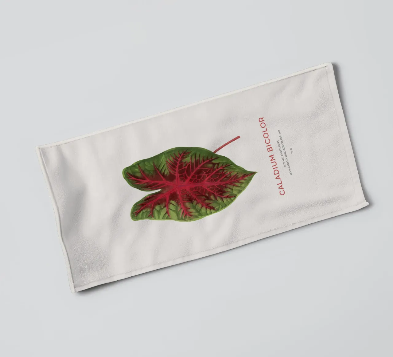 Cuore di Gesù o Caladium Bicolor asciugamano da bagno da Vintagrafica
