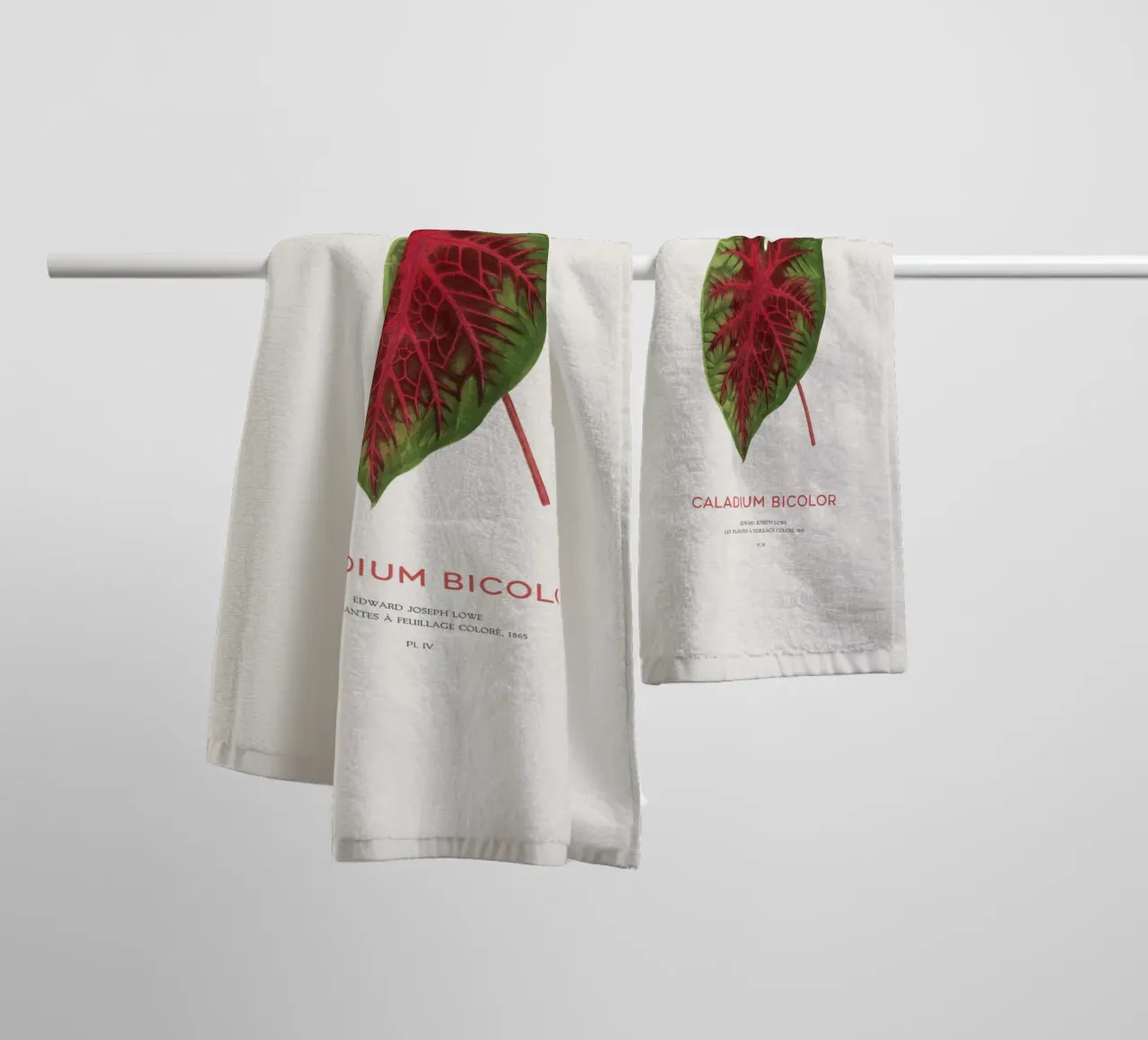 Cuore di Gesù o Caladium Bicolor asciugamano da bagno da Vintagrafica