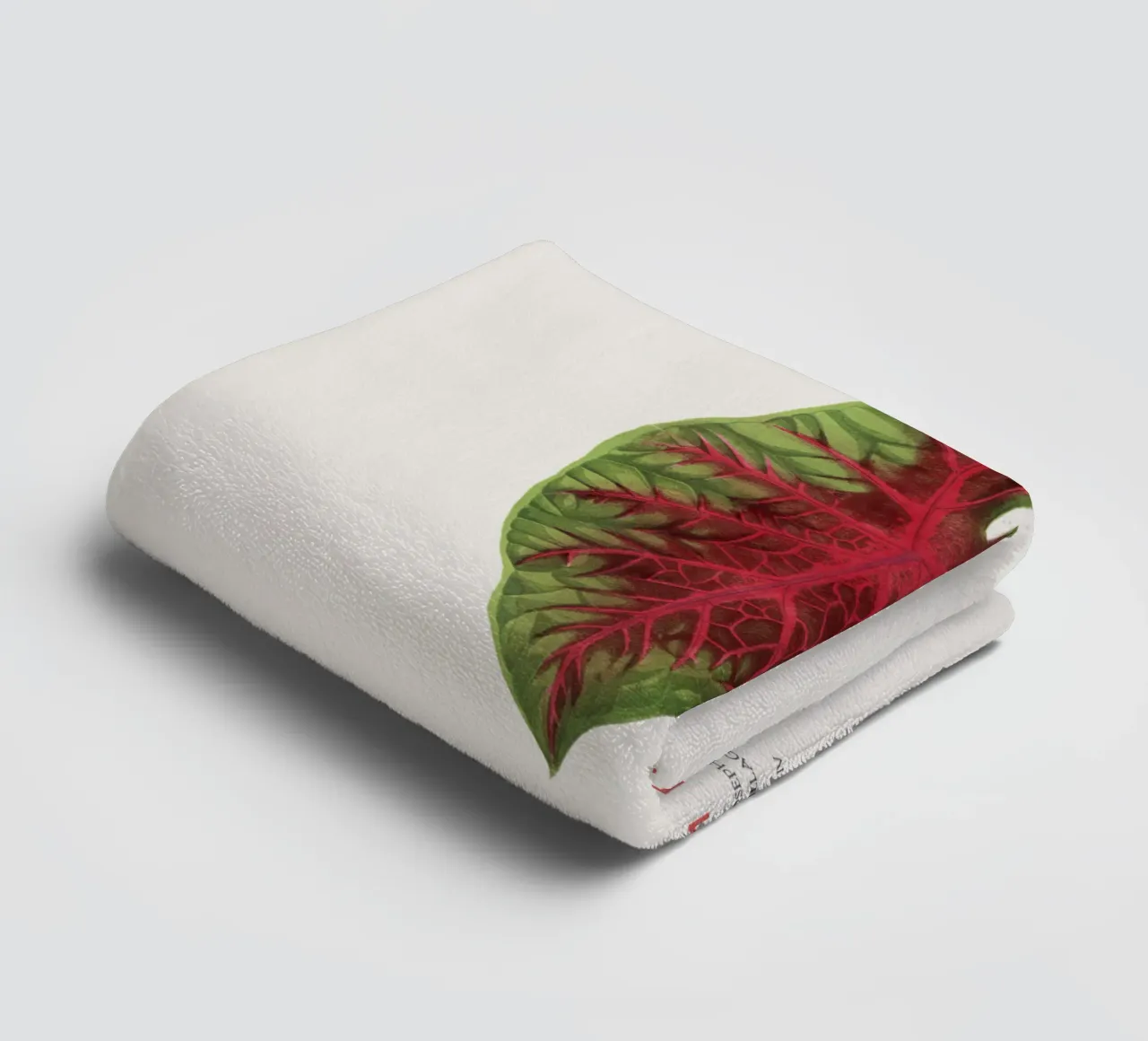 Cuore di Gesù o Caladium Bicolor asciugamano da bagno da Vintagrafica