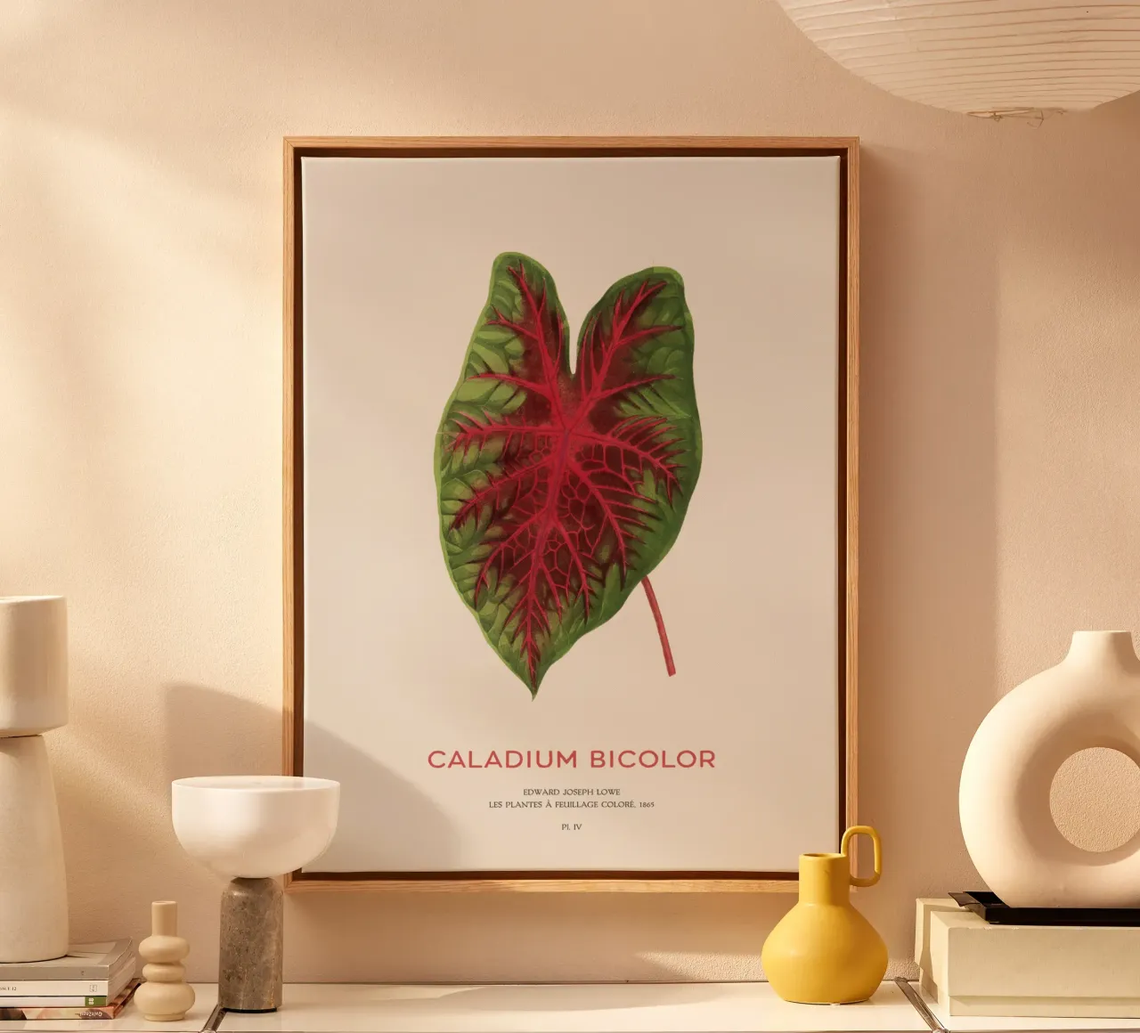 Cuore di Gesù o Caladium Bicolor tela con Cornice a cassetta da Vintagrafica