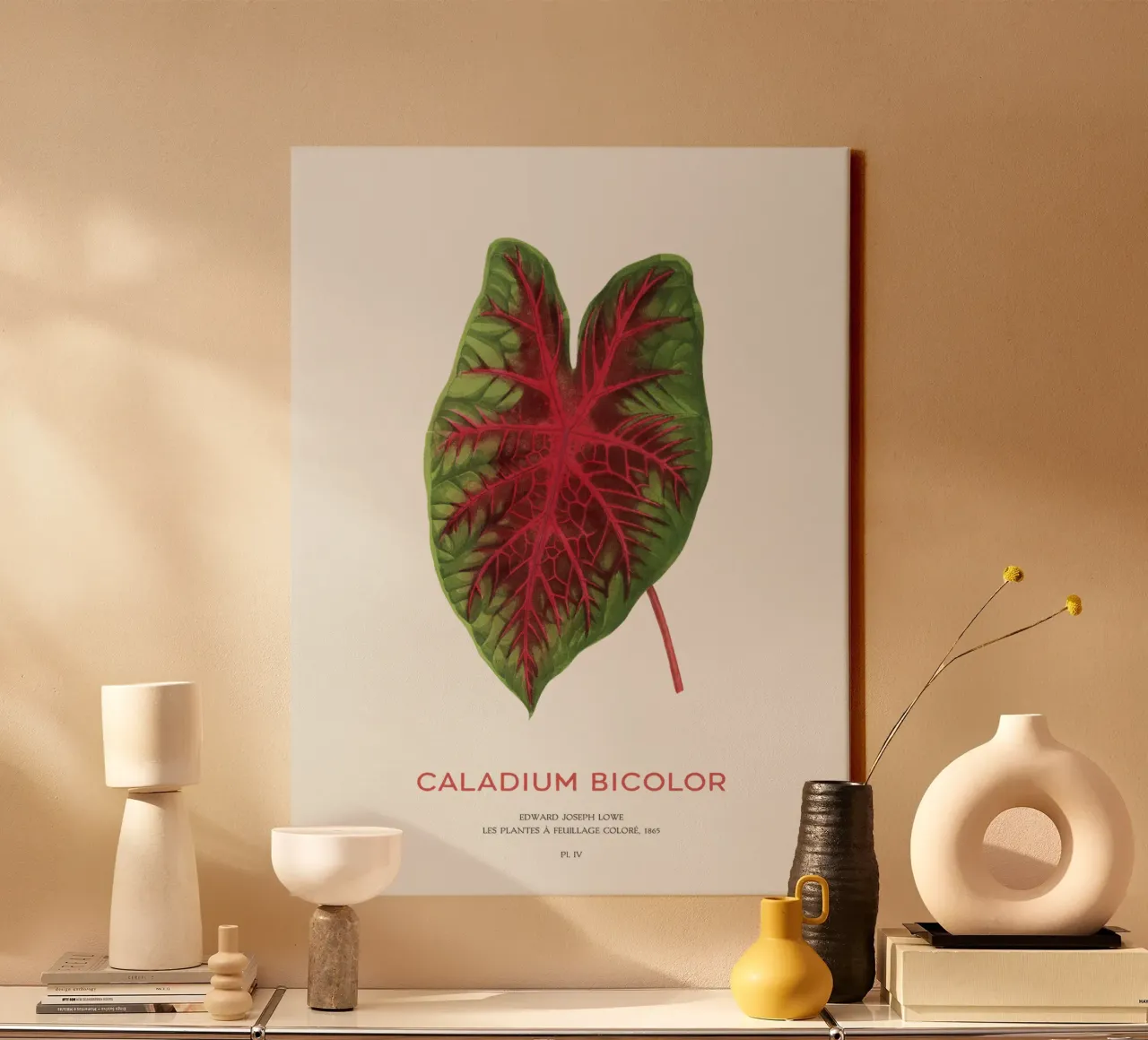 Cuore di Gesù o Caladium Bicolor tela con Cornice a cassetta da Vintagrafica