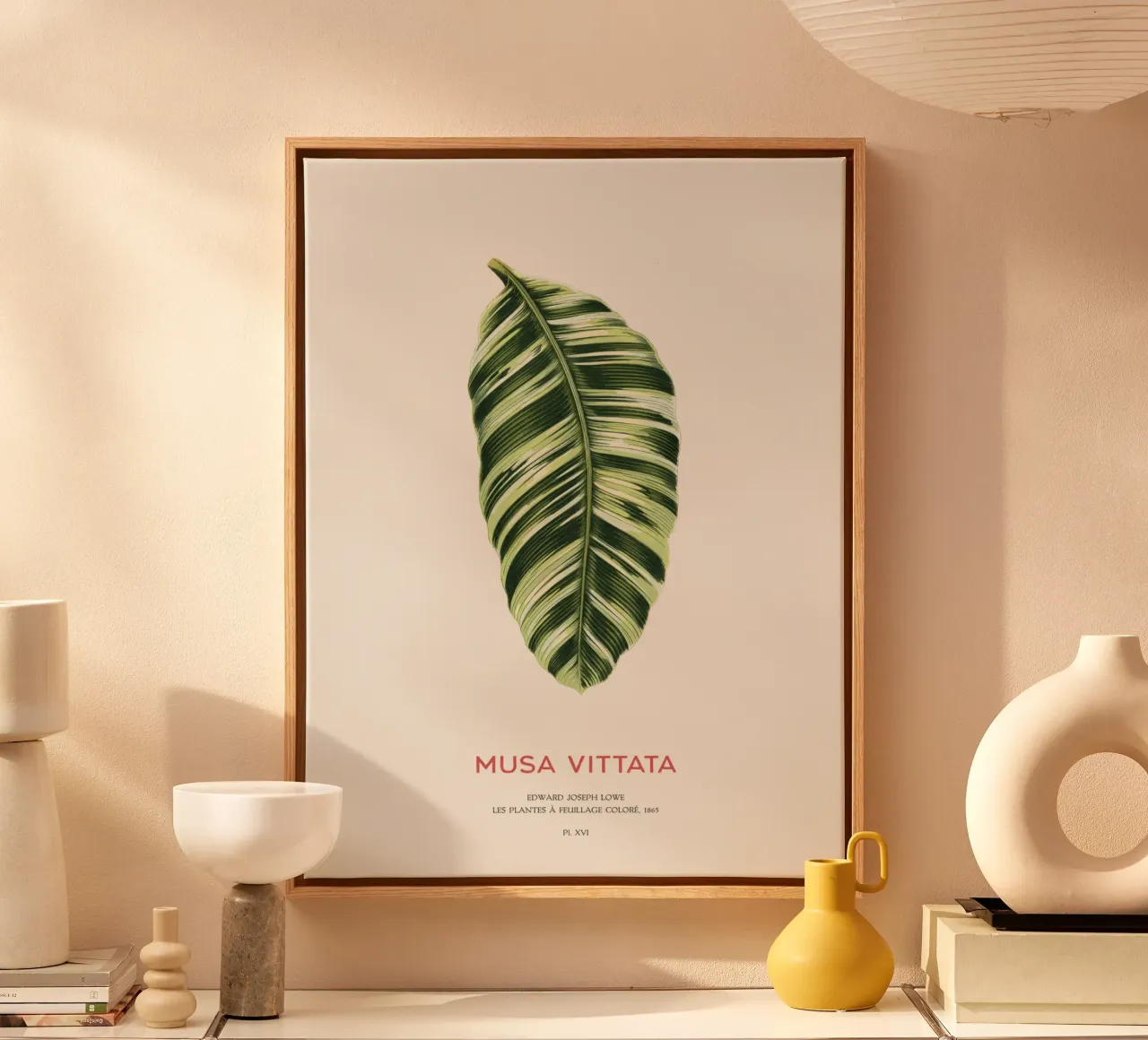 Musa Vittata - Banana leaf canvas with Floater frame by Vintagrafica