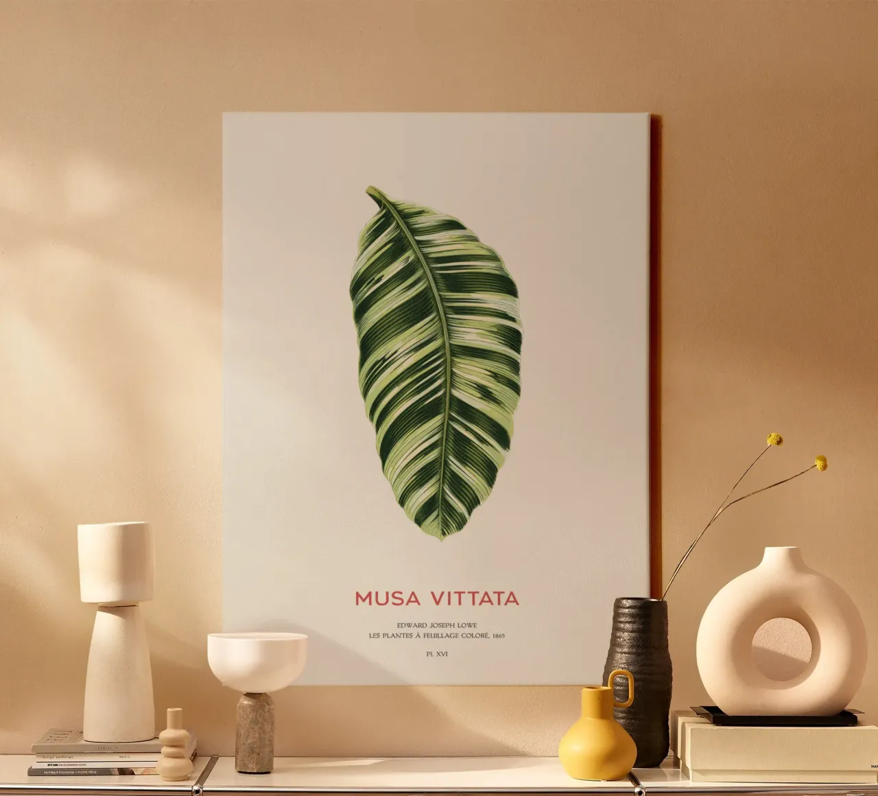 Musa Vittata - Banana leaf canvas with Floater frame by Vintagrafica