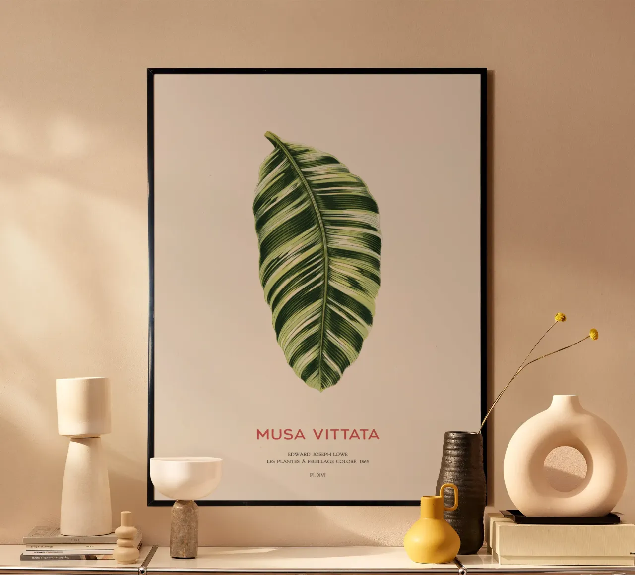 Musa Vittata - Banana leaf poster con telaio in alluminio da Vintagrafica