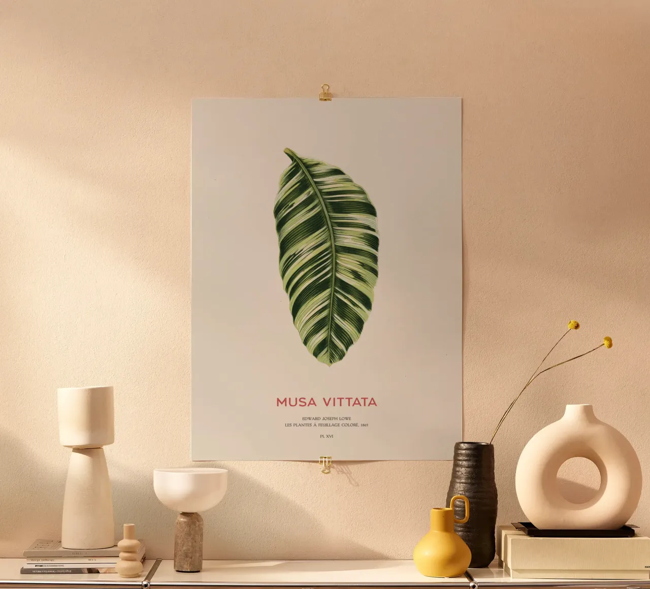 Musa Vittata - Banana leaf poster con telaio in alluminio da Vintagrafica