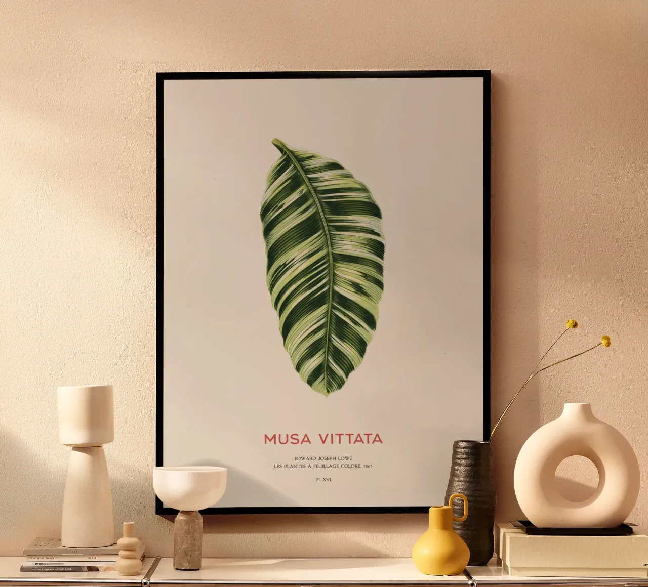 Musa Vittata - Banana leaf poster con telaio in alluminio da Vintagrafica