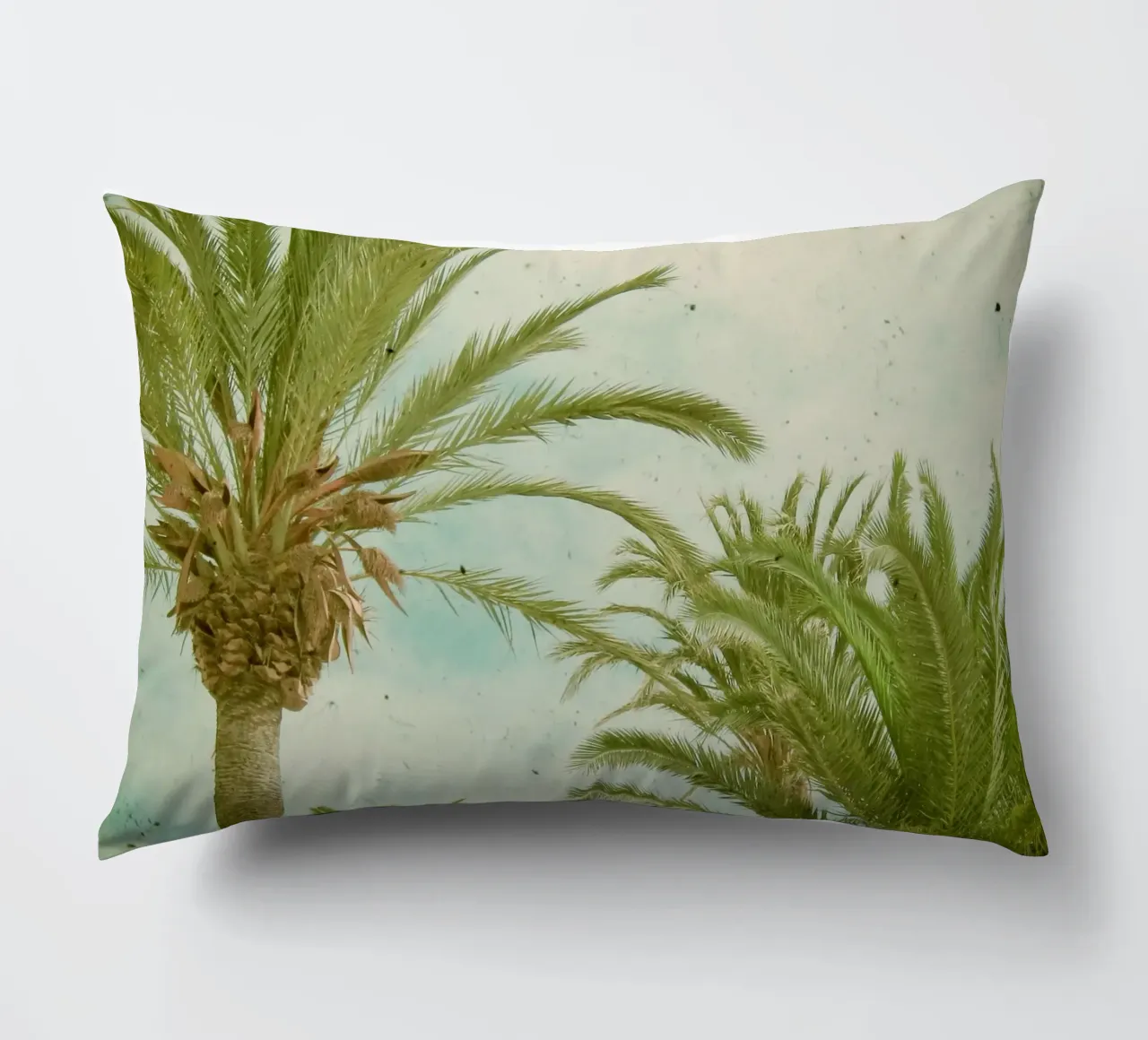 Palm Trees decorative cushion by Cassia Beck Photography