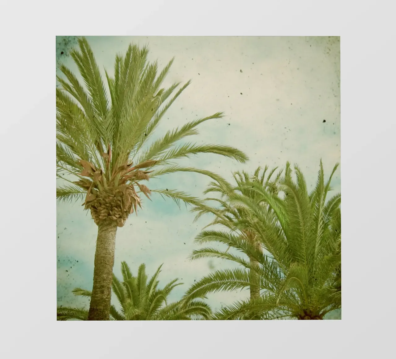Palme telo in pvc da Cassia Beck Photography