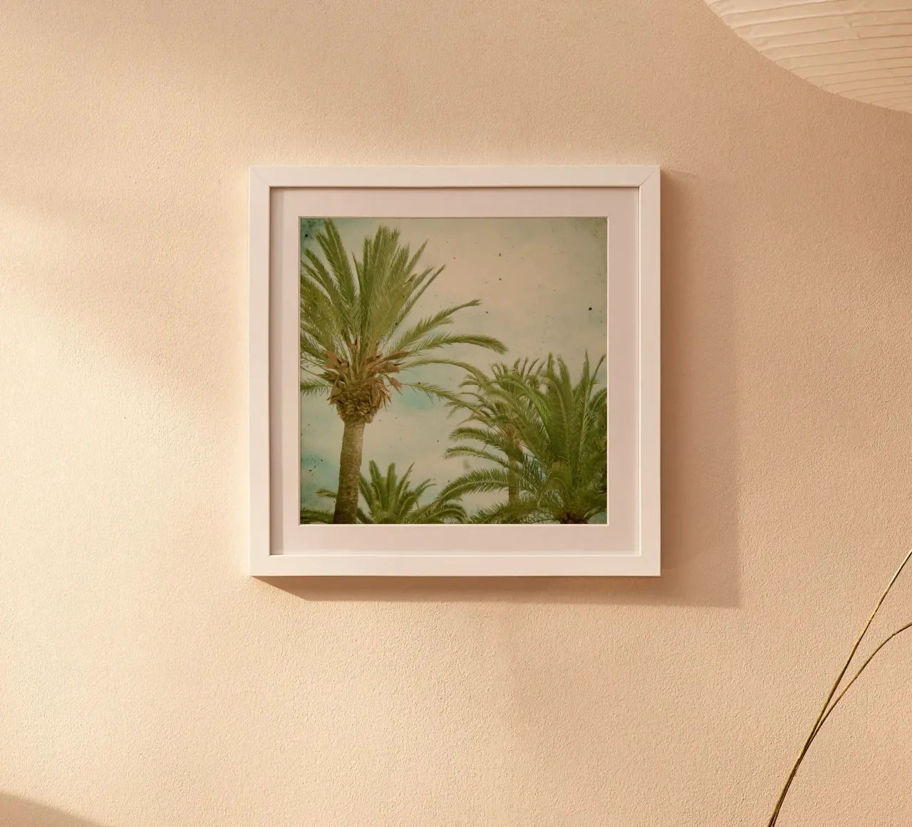 Palm Trees hahnemühle by Cassia Beck Photography
