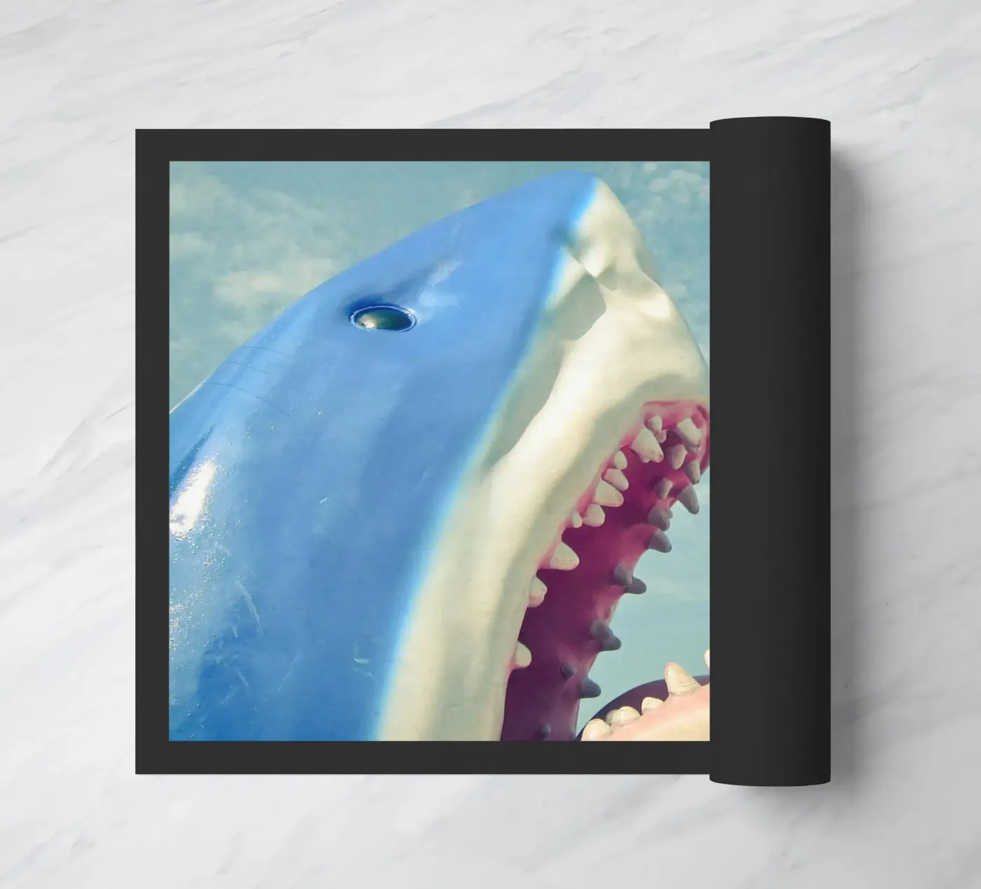 Shark doormat by Cassia Beck Photography