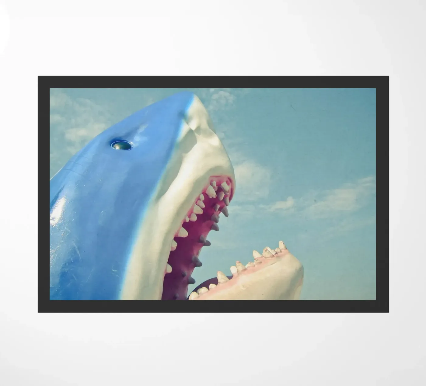 Shark doormat by Cassia Beck Photography