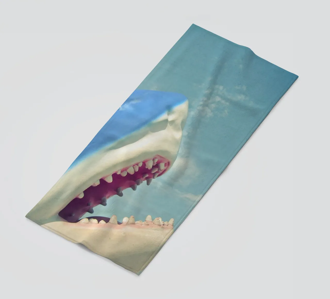 Squalo telo mare da Cassia Beck Photography