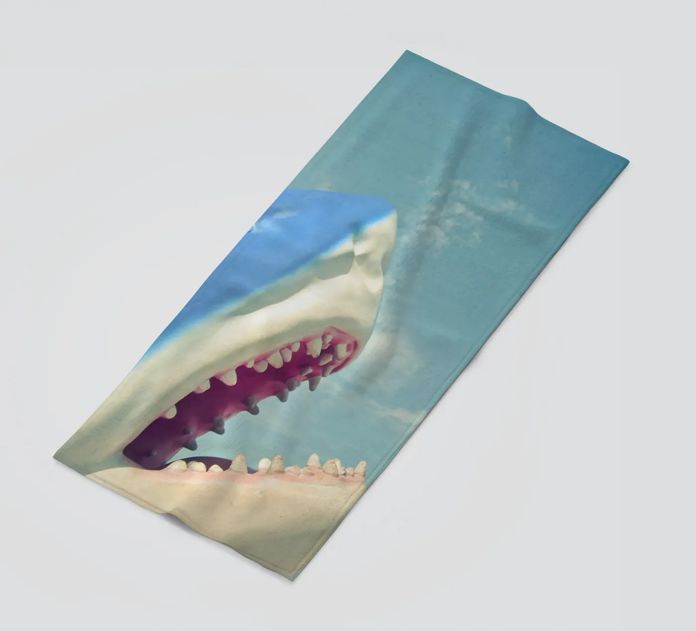 Squalo telo mare da Cassia Beck Photography