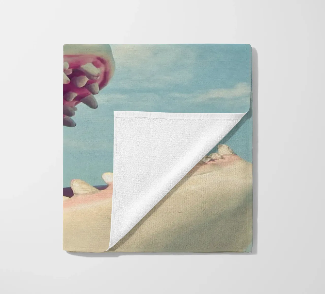 Squalo telo mare da Cassia Beck Photography