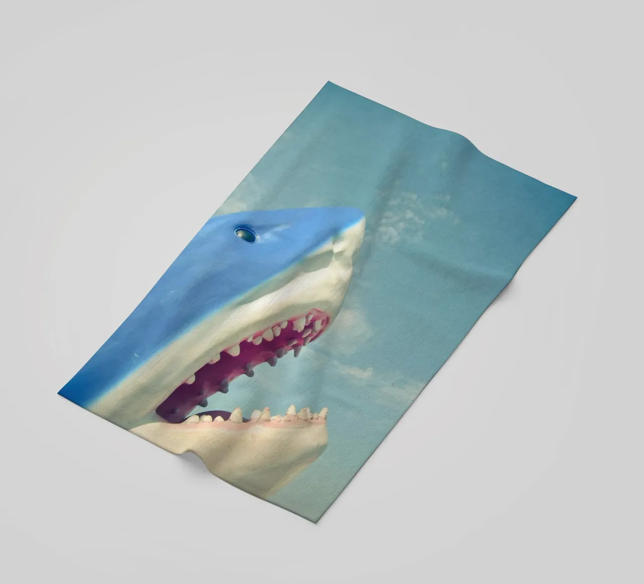 Squalo telo mare da Cassia Beck Photography