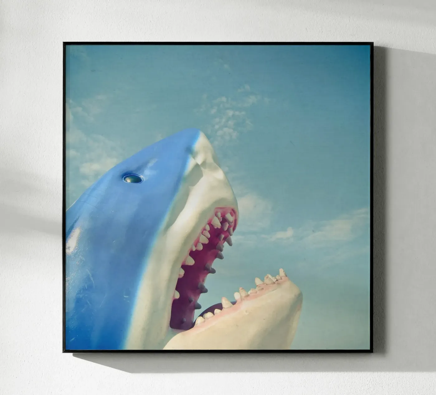 Squalo plexiglass da Cassia Beck Photography