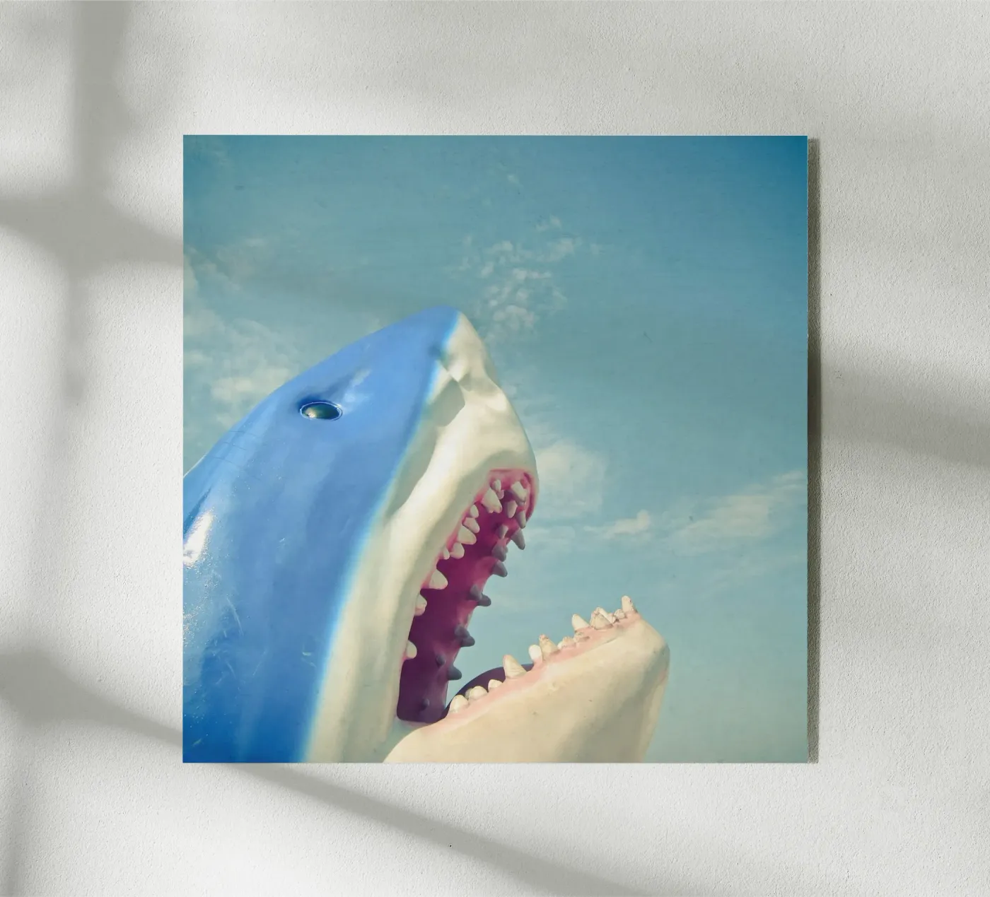 Squalo plexiglass da Cassia Beck Photography