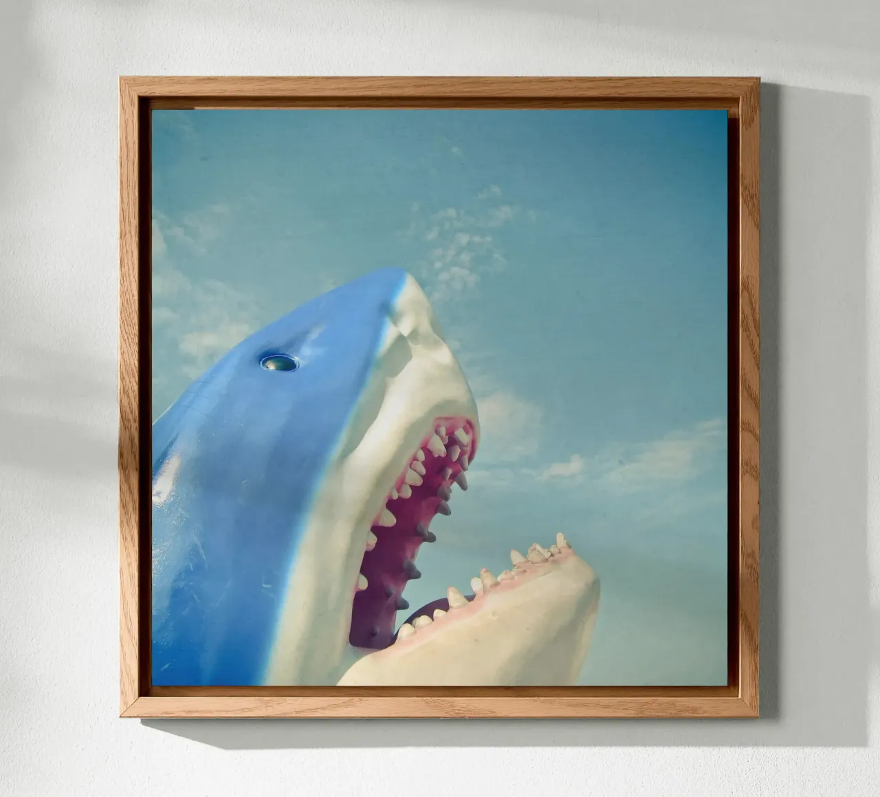 Shark alu-dibond by Cassia Beck Photography