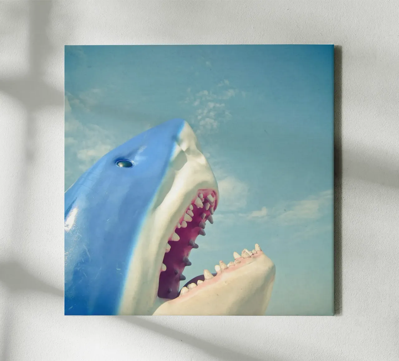 Squalo tela da Cassia Beck Photography