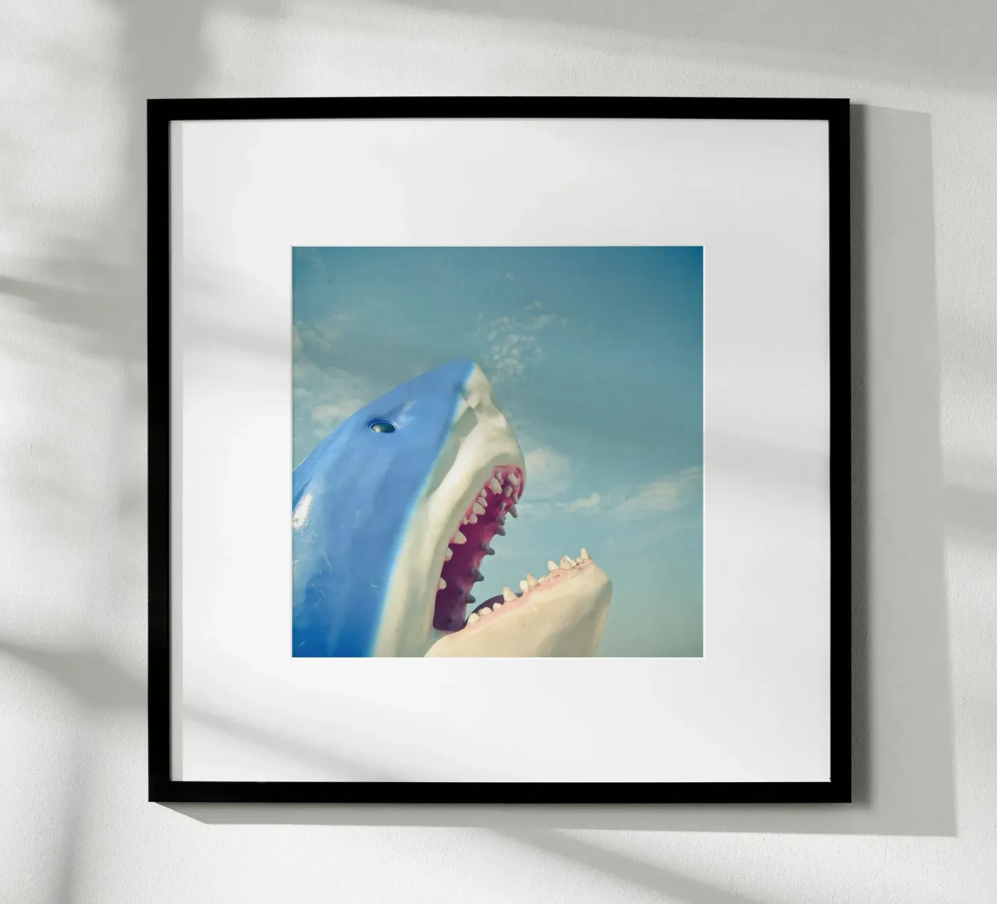 Squalo poster da Cassia Beck Photography