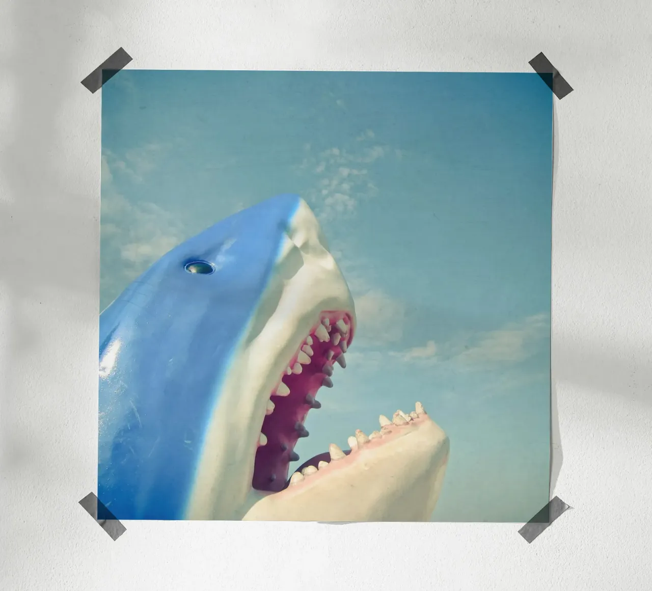 Squalo poster da Cassia Beck Photography