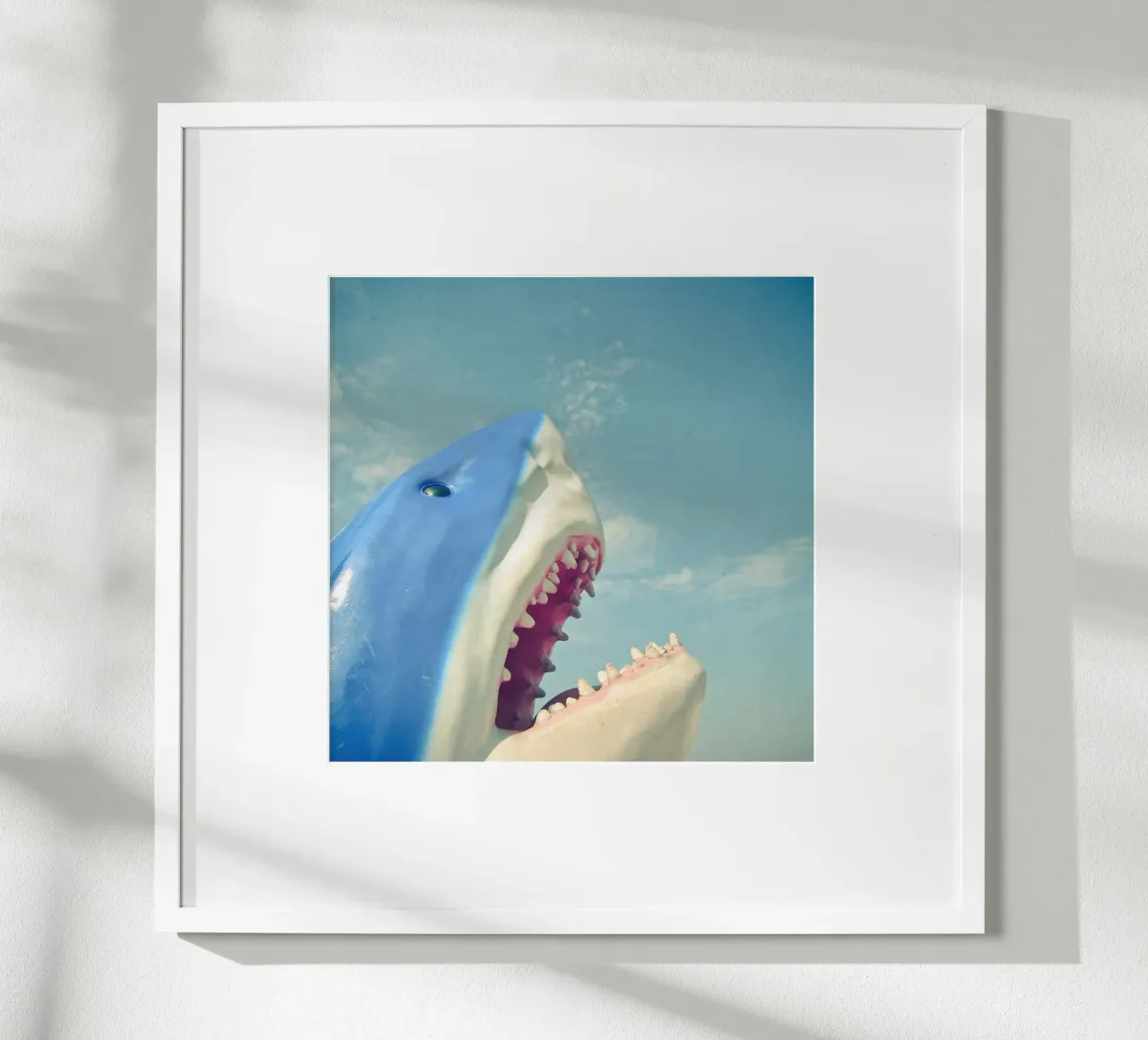 Squalo poster da Cassia Beck Photography