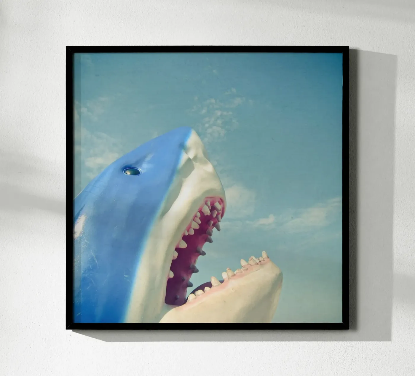 Squalo poster da Cassia Beck Photography