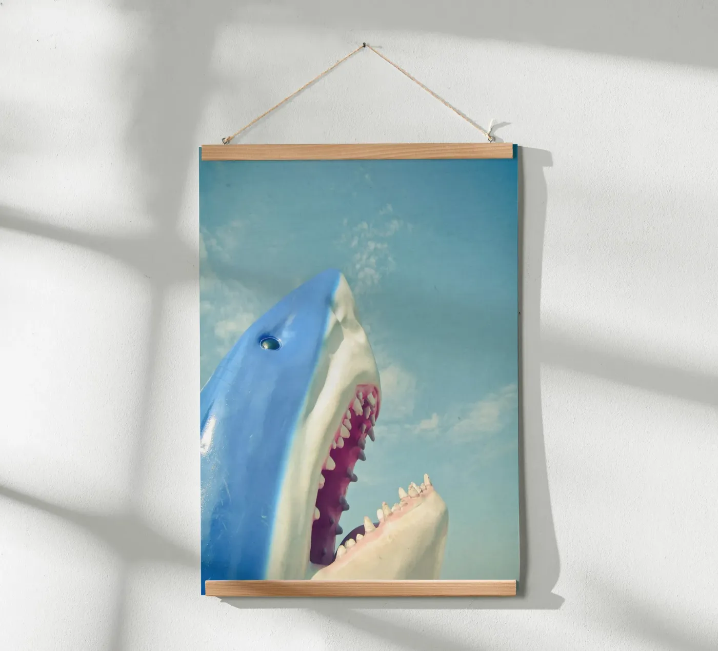 Squalo poster da Cassia Beck Photography