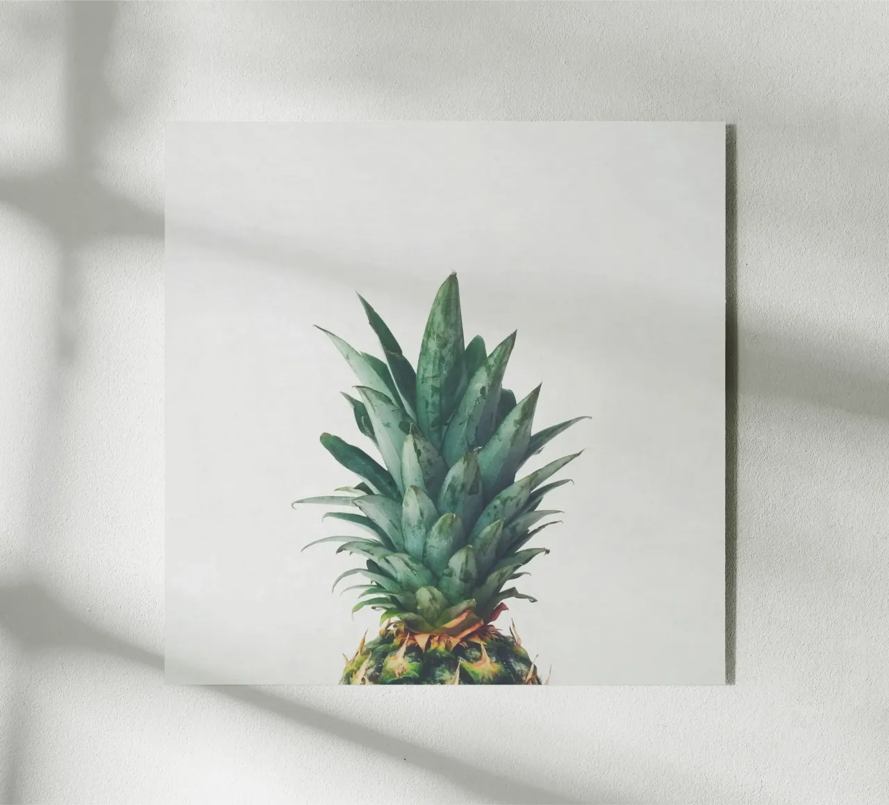Ananas Top plexiglass da Cassia Beck Photography