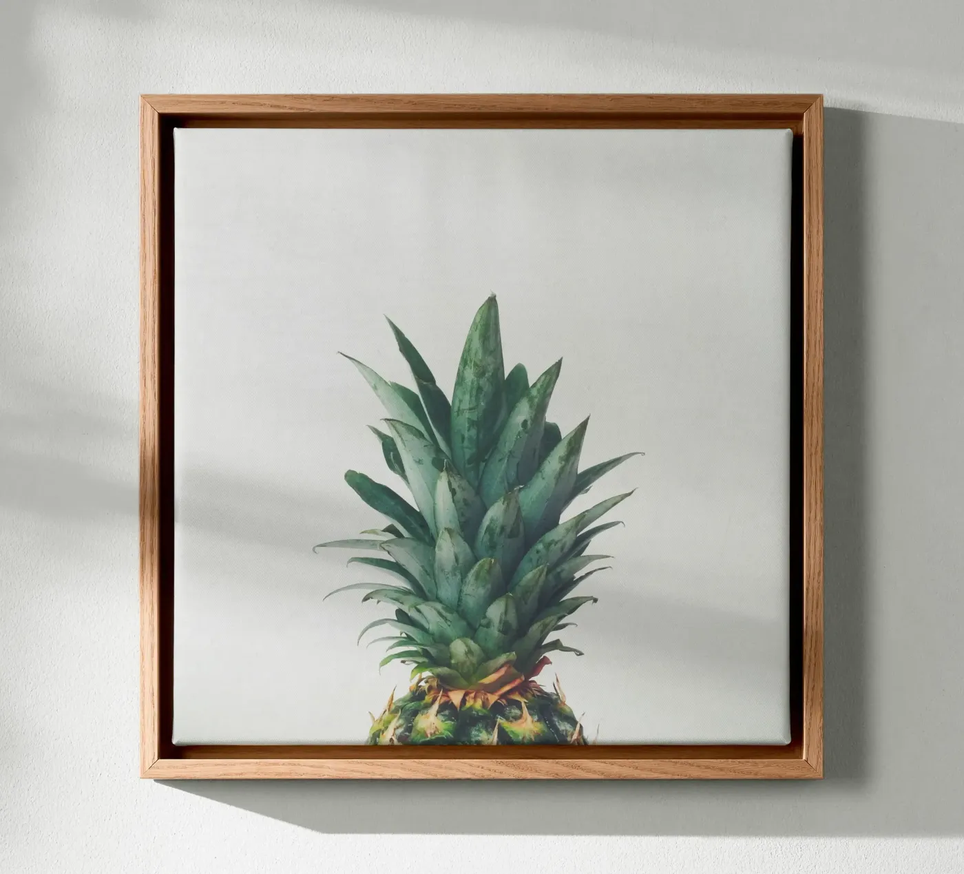 Pineapple Top canvas by Cassia Beck Photography