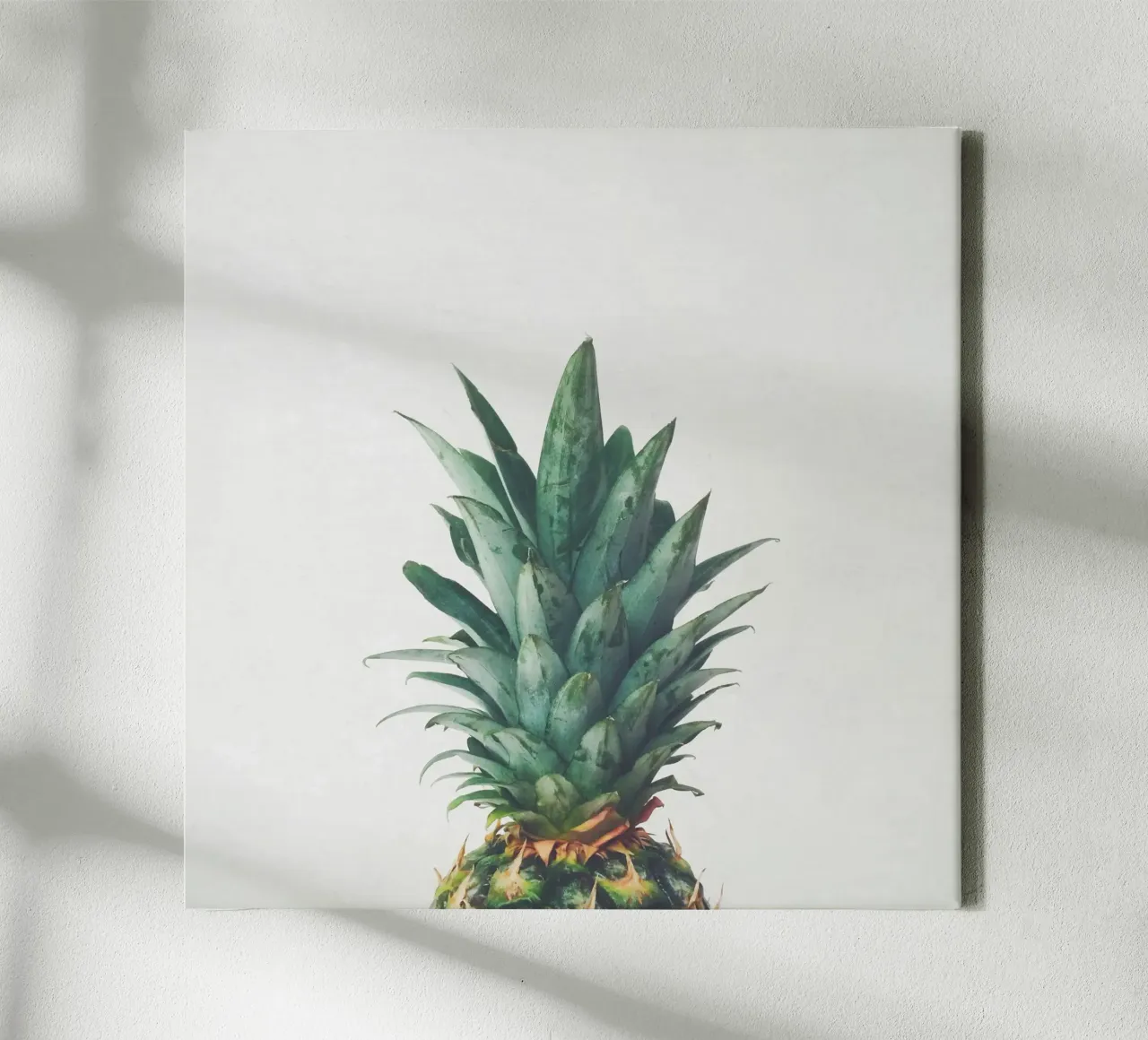 Ananas oben Leinwand mit Schattenfugenrahmen von Cassia Beck Photography