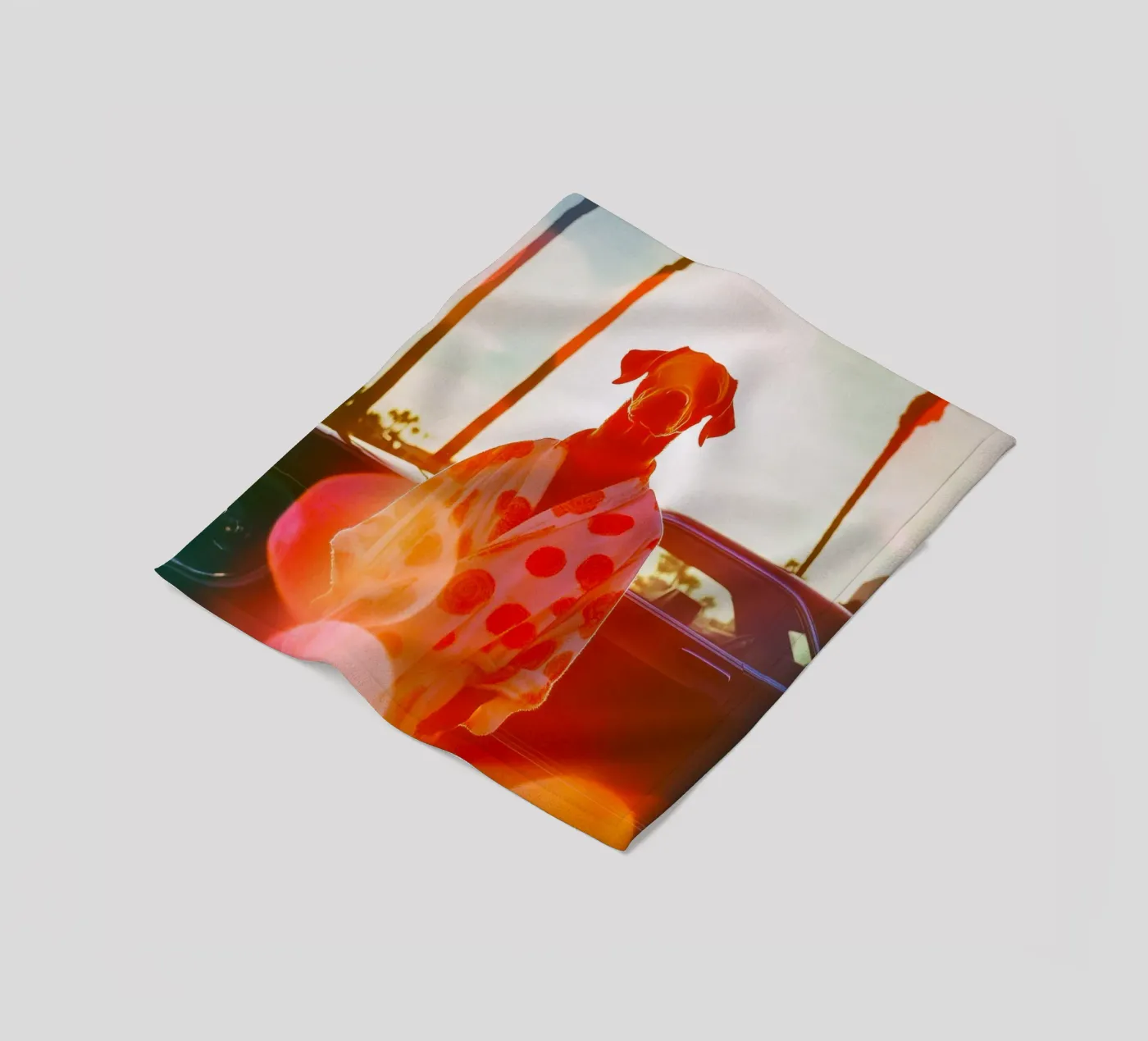 Robert Fleecedecke von Affiches Chien Originales – Dogland