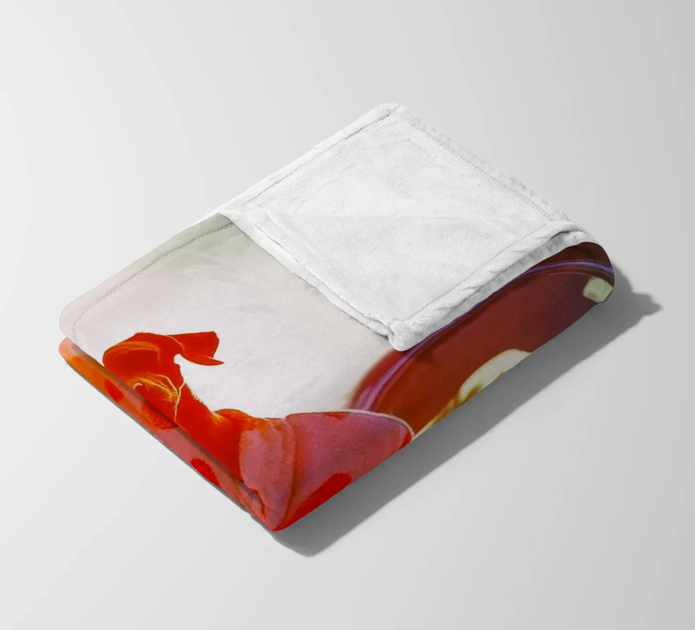 Robert Fleecedecke von Affiches Chien Originales – Dogland