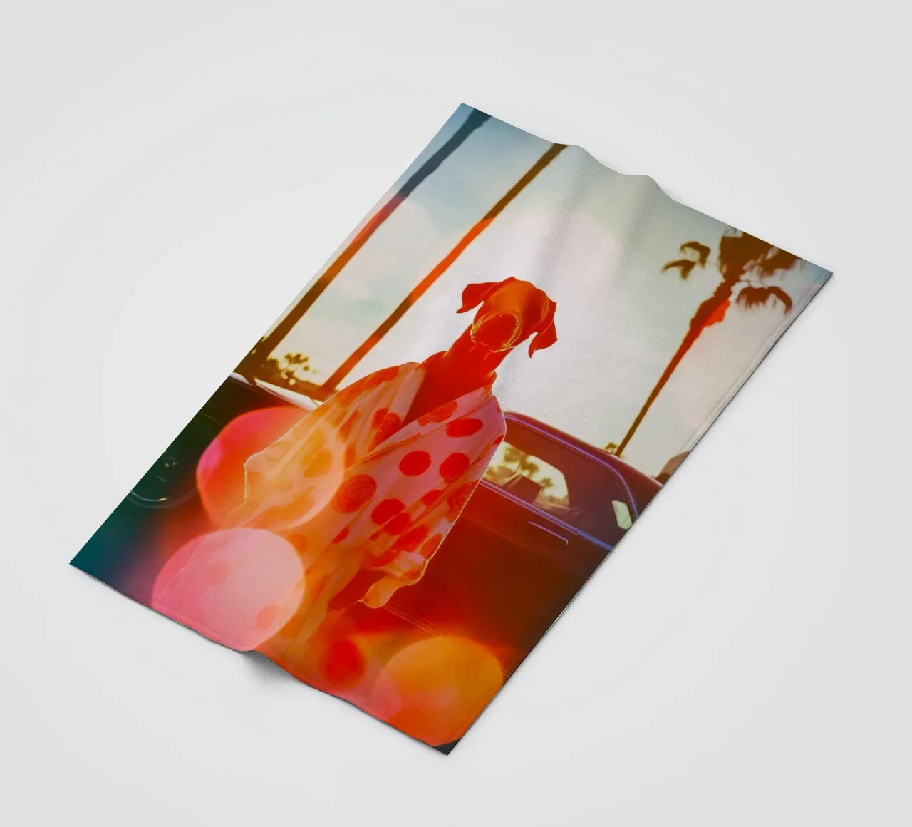 Robert fleecedeken van Affiches Chien Originales – Dogland