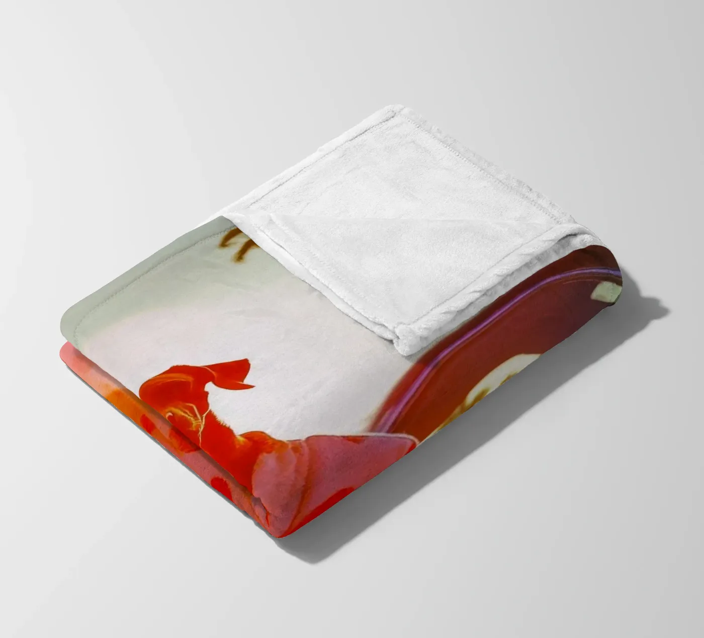 Robert Fleecedecke von Affiches Chien Originales – Dogland