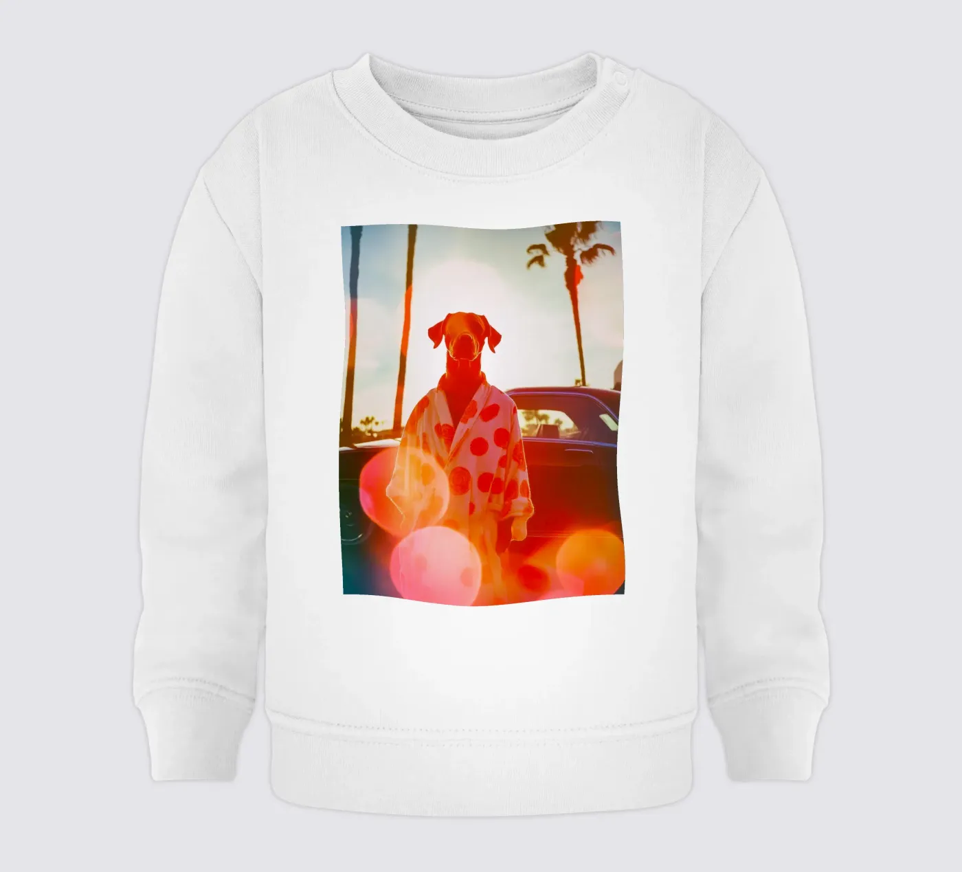 Robert felpa neonato da Affiches Chien Originales – Dogland