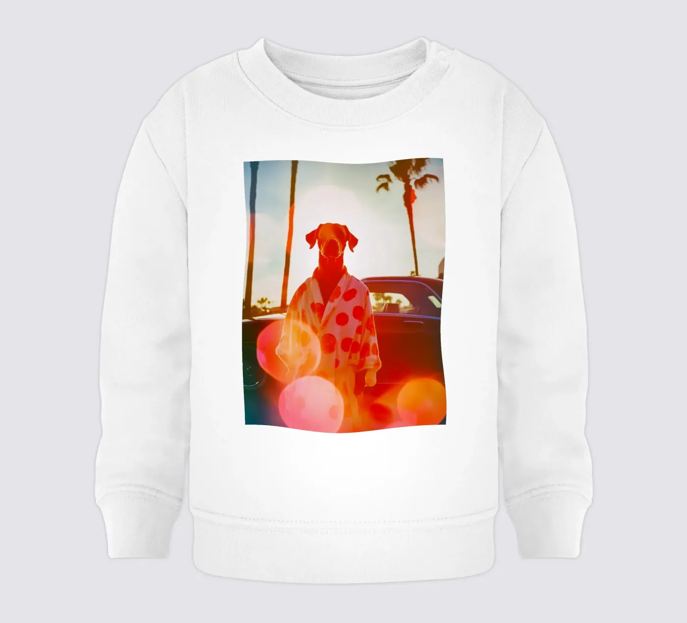 Robert felpa neonato da Affiches Chien Originales – Dogland