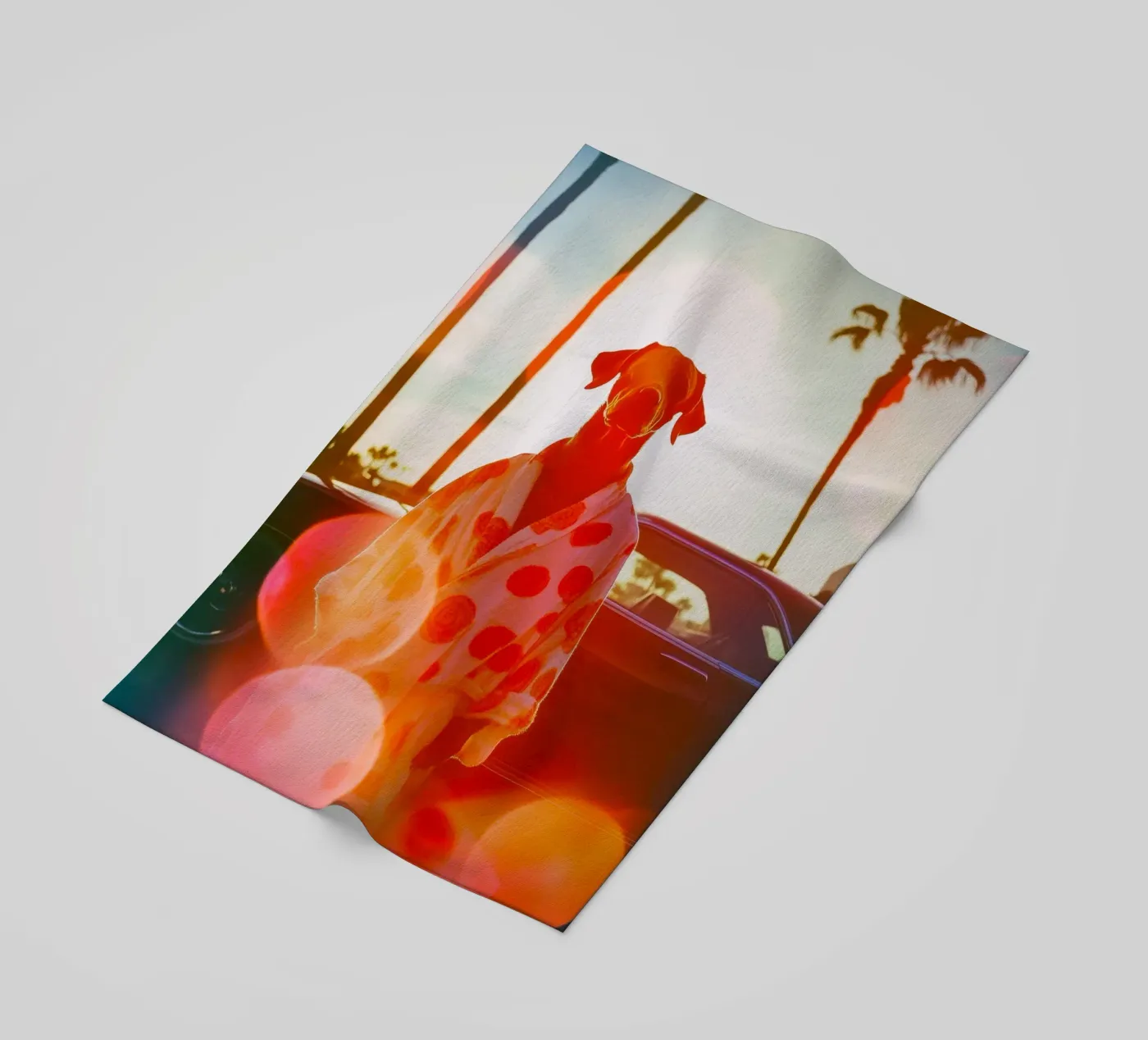 Robert strandhanddoek van Affiches Chien Originales – Dogland