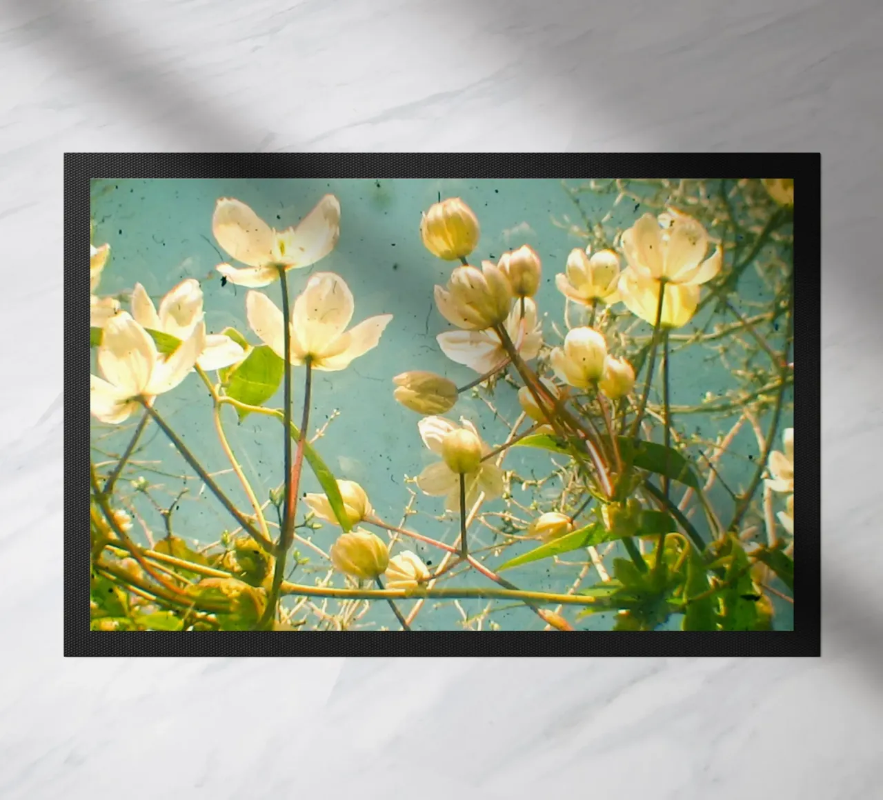 Guardate in alto e vedrete zerbino da Cassia Beck Photography