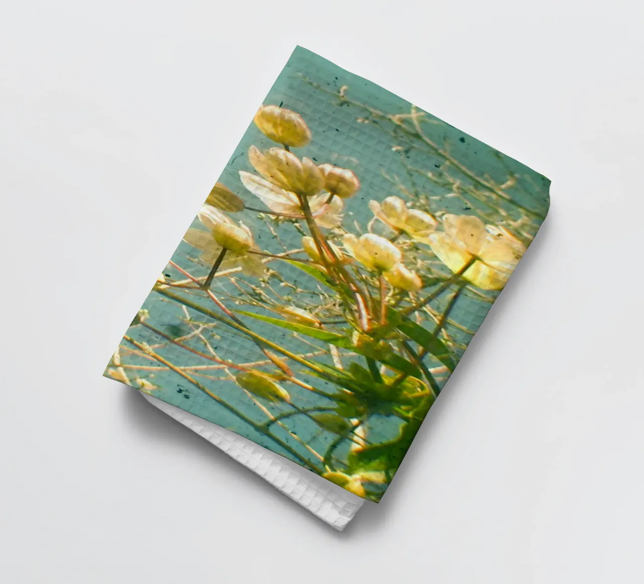 Guardate in alto e vedrete canovaccio da cucina da Cassia Beck Photography