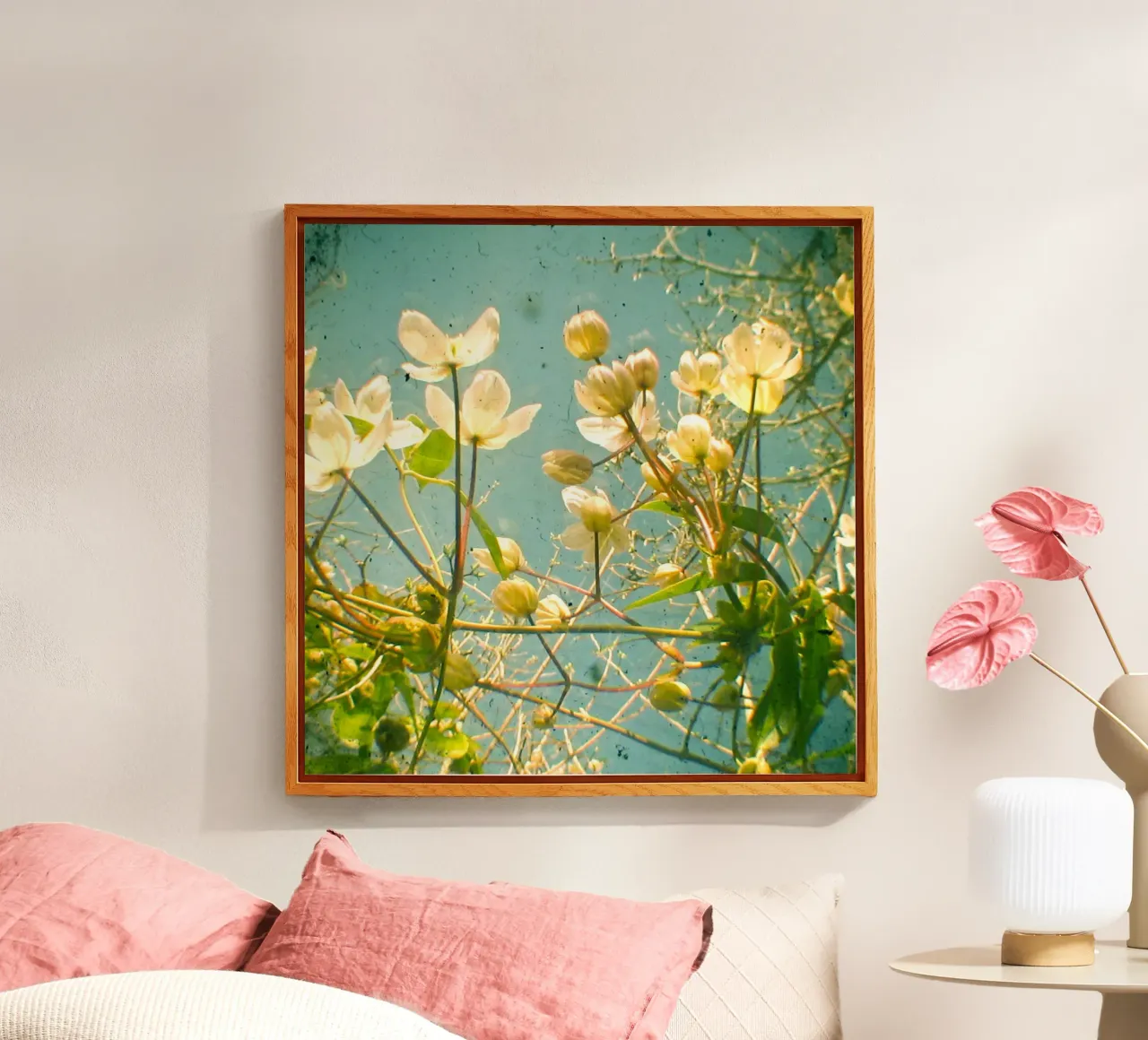 Guardate in alto e vedrete plexiglass da Cassia Beck Photography