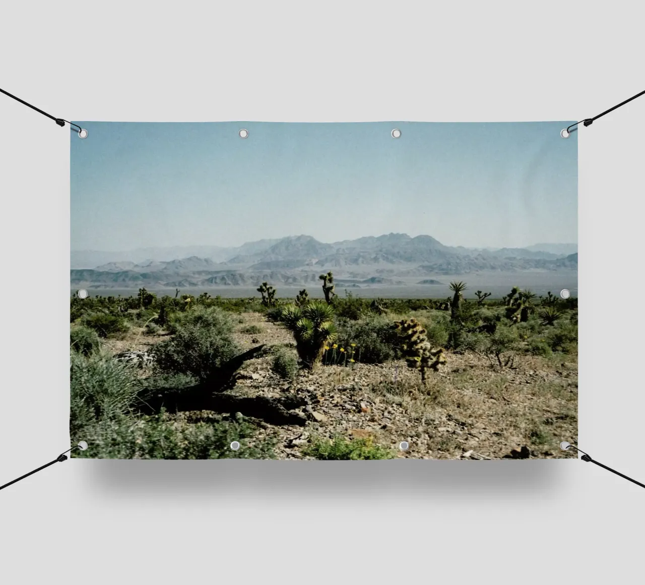 Nevada Desert Scene telo in pvc da Kevin Russ