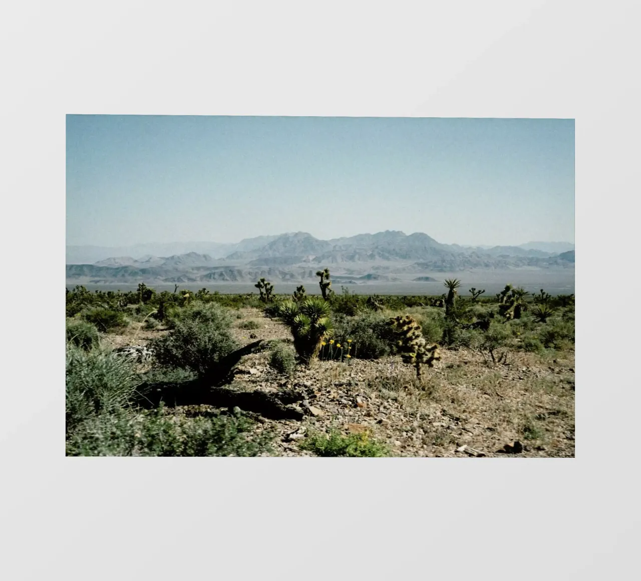 Nevada Desert Scene telo in pvc da Kevin Russ