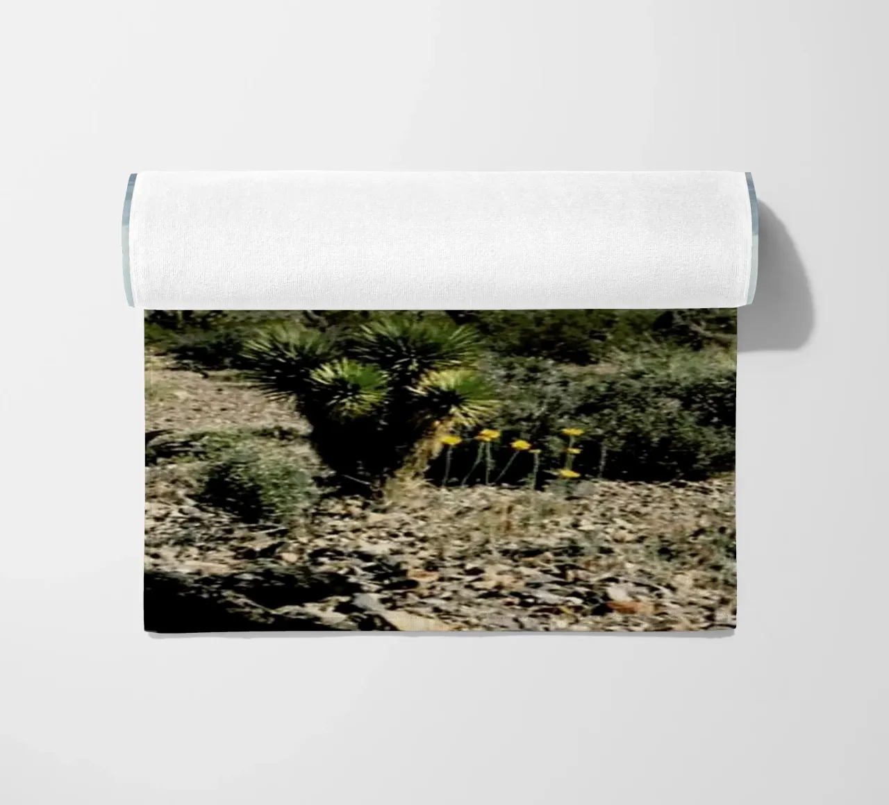 Nevada Desert Scene telo mare da Kevin Russ